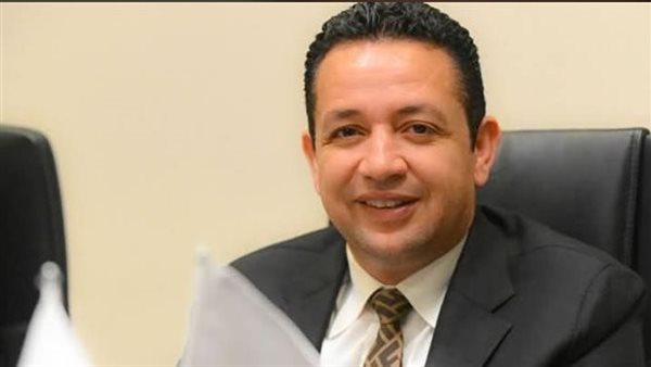 محمد أحمد سلامة