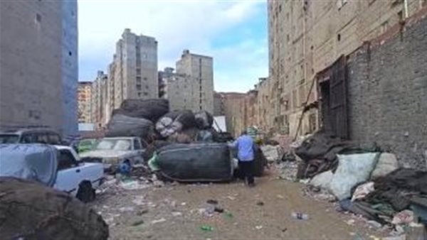 حملة على النباشين