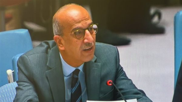 السفير أسامة عبد