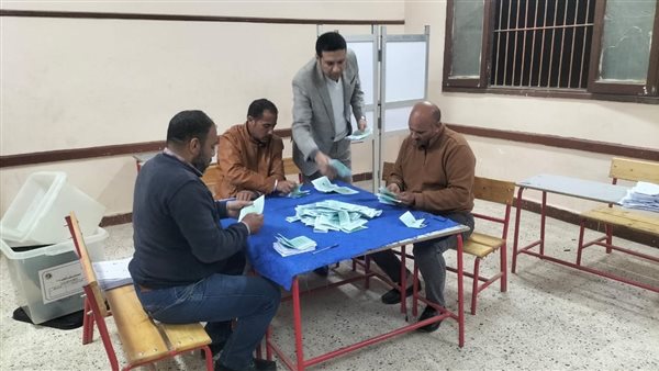 صورة من الفرز