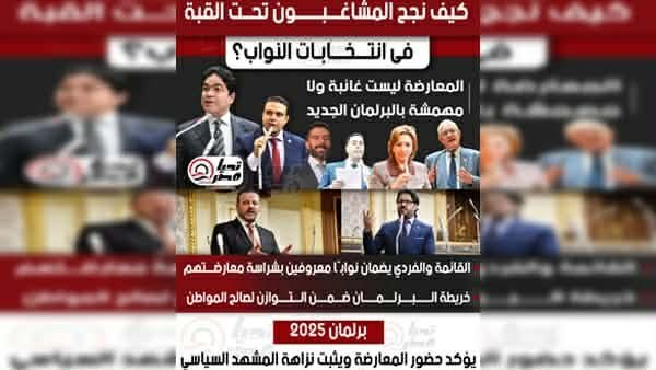 المعارضة المصرية