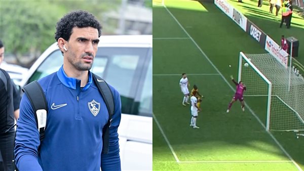 محمد صبحي ومحمد عواد