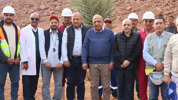 وزير الكهرباء 