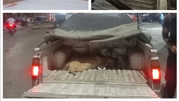 جانب من الحملة 