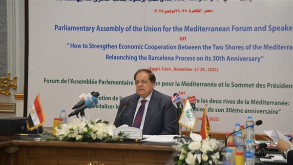 النائب محمد أبو العنين