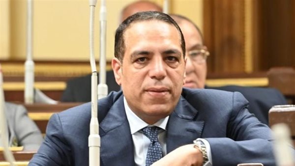 النائب الصافي عبد