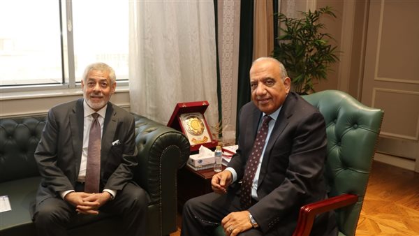 وزير الكهرباء 