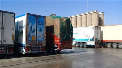 تهريب بضائع    