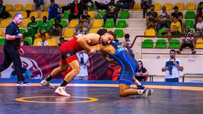 الاتحاد المصري للمصارعة     