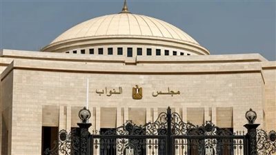 مجلس النواب    