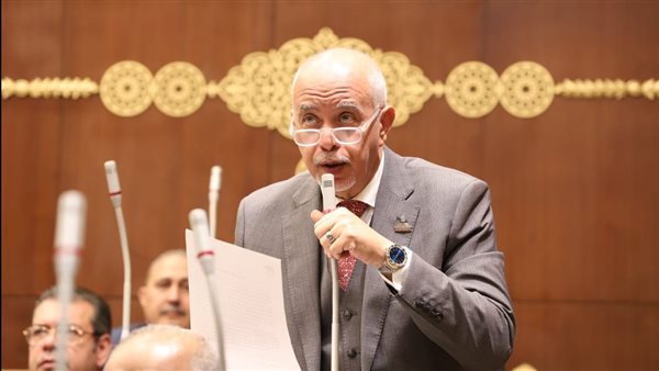 النائب حازم الجندي