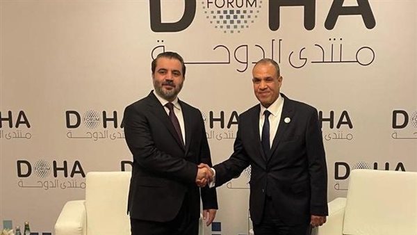 وزيرا خارجية مصر