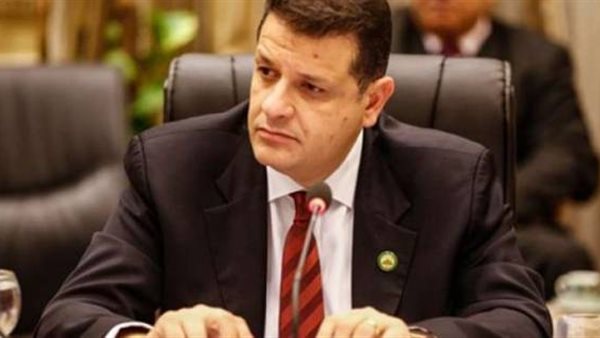 النائب طارق رضوان