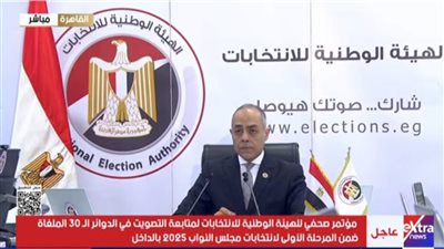 المستشار أحمد بنداري المدير التنفيذي للهيئة الوطنية للانتخاب    