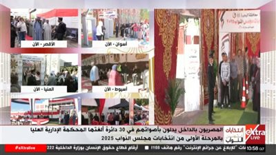 انتخابات مجلس النواب    