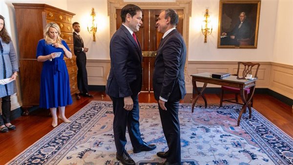 وزيرا خارجية مصر