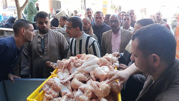 جانب من الحملة 