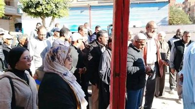 انتخابات مجلس النواب    