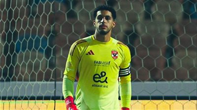 مصطفى شوبير     