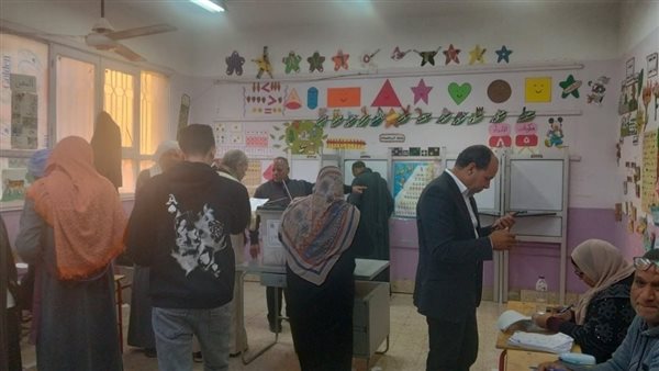 جانب من الانتخابات