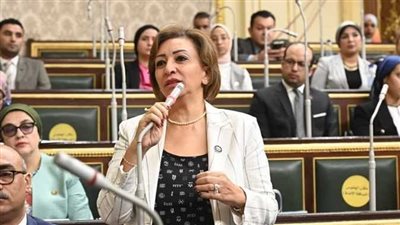 النائبة مها عبد الناصر، عضو مجلس النواب    