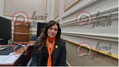 النائبة نيفين فارس عضو لجنة الشئون الدستورية    