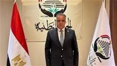 هشام محمد مجدي، عضو مجلس الشيوخ    