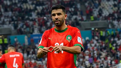 كريم البركاوي     