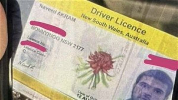 منفذ الهجوم     