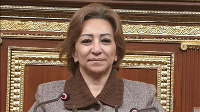 النائبة مها عبد الناصر، عضو مجلس النواب    