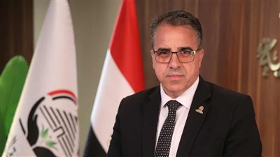 النائب هشام مجدي    