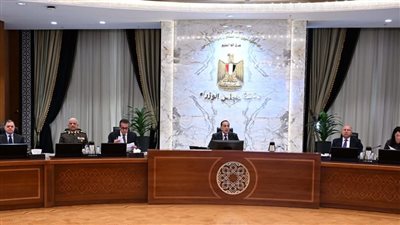 مجلس الوزراء 