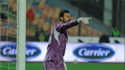 محمد الشناوي     