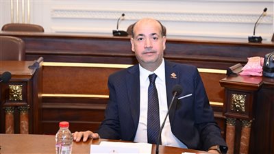 النائب أحمد سيد    