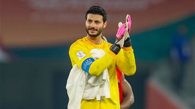 محمد الشناوي    