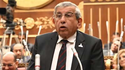 النائب علاء عبد النبي    