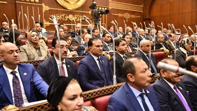 مجلس الشيوخ    