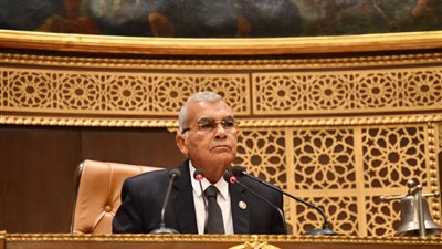 المستشار عصام فريد    