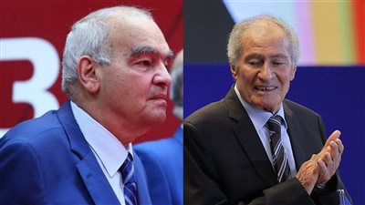 حسن مصطفى و حسين فتحى     