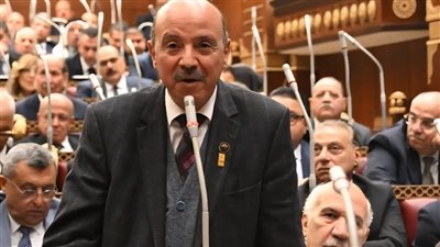 النائب محمد طه عليوة    