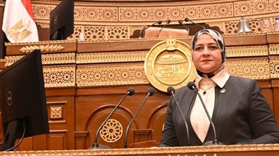 النائبة مروة قنصوه، أمين سر لجنة الطاقة والبيئة    