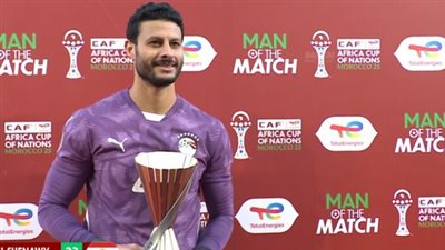 محمد الشناوي    