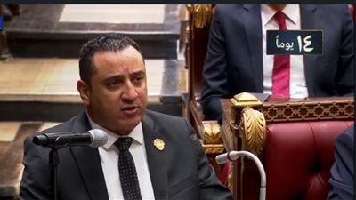 النائب ولاء حافظ    