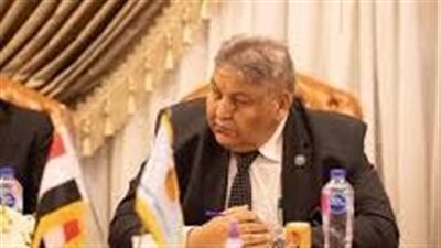  النائب وفيق عزت، وكيل لجنة الإدارة المحلية بمجلس النواب    