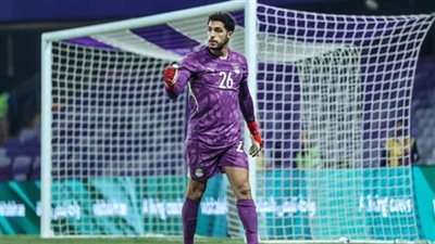 مصطفى شوبير    