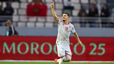 مباراة منتخب تونس وتنزانيا في كأس أمم أفريقيا    