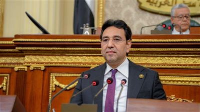 أيمن محسب وكيل لجنة الشؤون العربية بمجلس النواب    