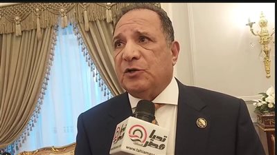 اللواء محمد صلاح أبو هميلة    