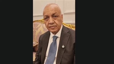 النائب مصطفى بكري    