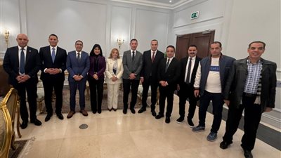 نواب حزب مستقبل وطن    